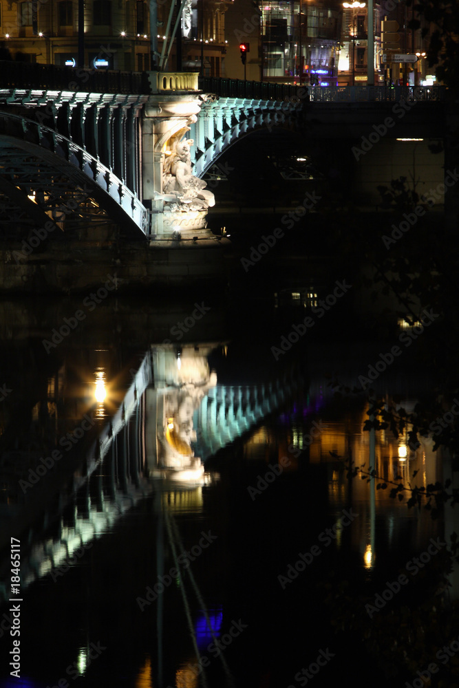 Fototapeta premium lyon by night