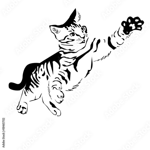 Vector illustration of domestic cat