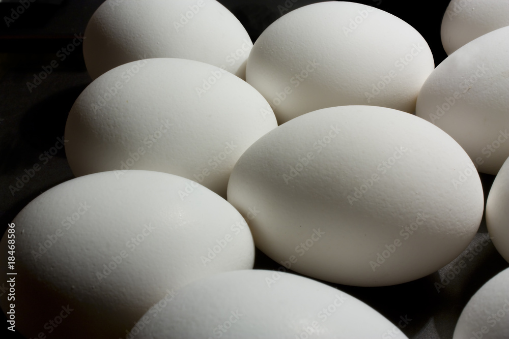 Eggs Eggs
