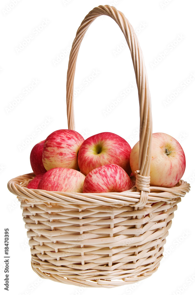 Red Astrachan apples Red Astrachan apples