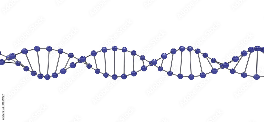 3d DNA