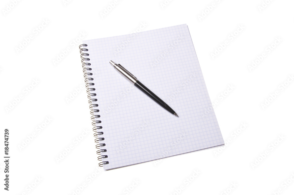 pen on copybook pen on copybook