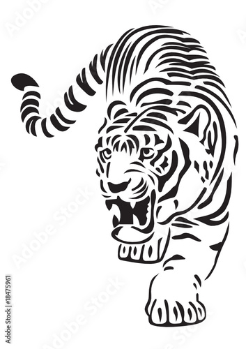 tiger