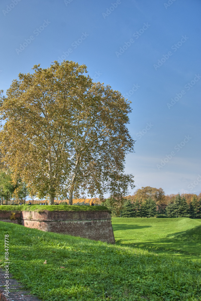 Defensive Walls of Lucca, Italy, October 2009 Defensive Walls of Lucca, Italy, October 2009