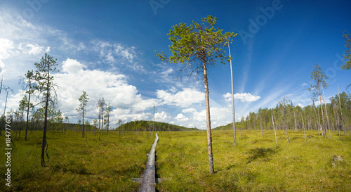 hiking trail photo