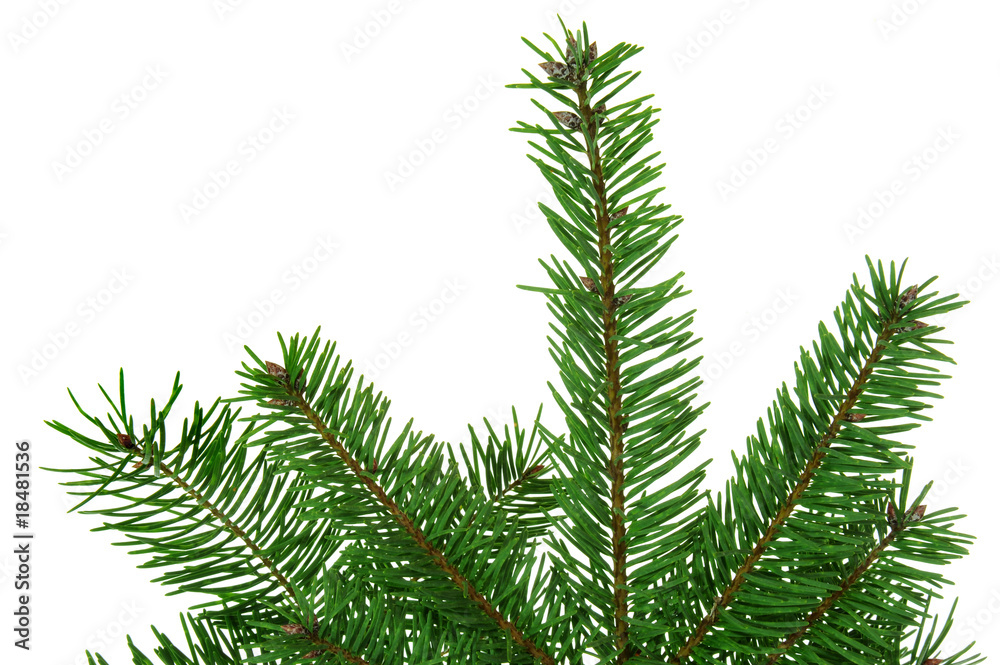 Weihnachten 213 Weihnachten 213