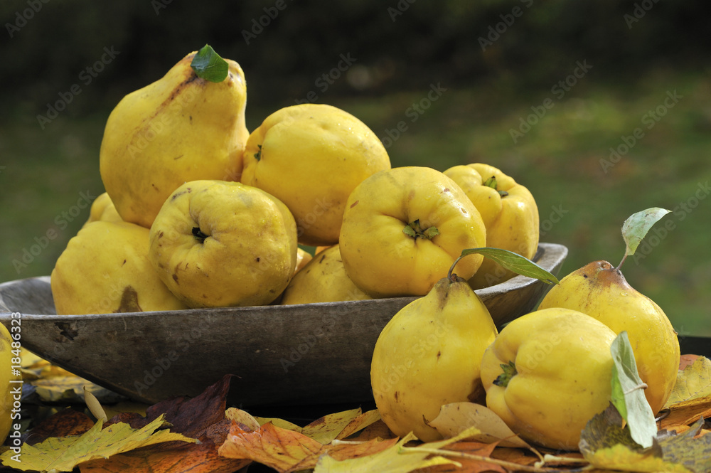 © Hubertus Blume - Obst