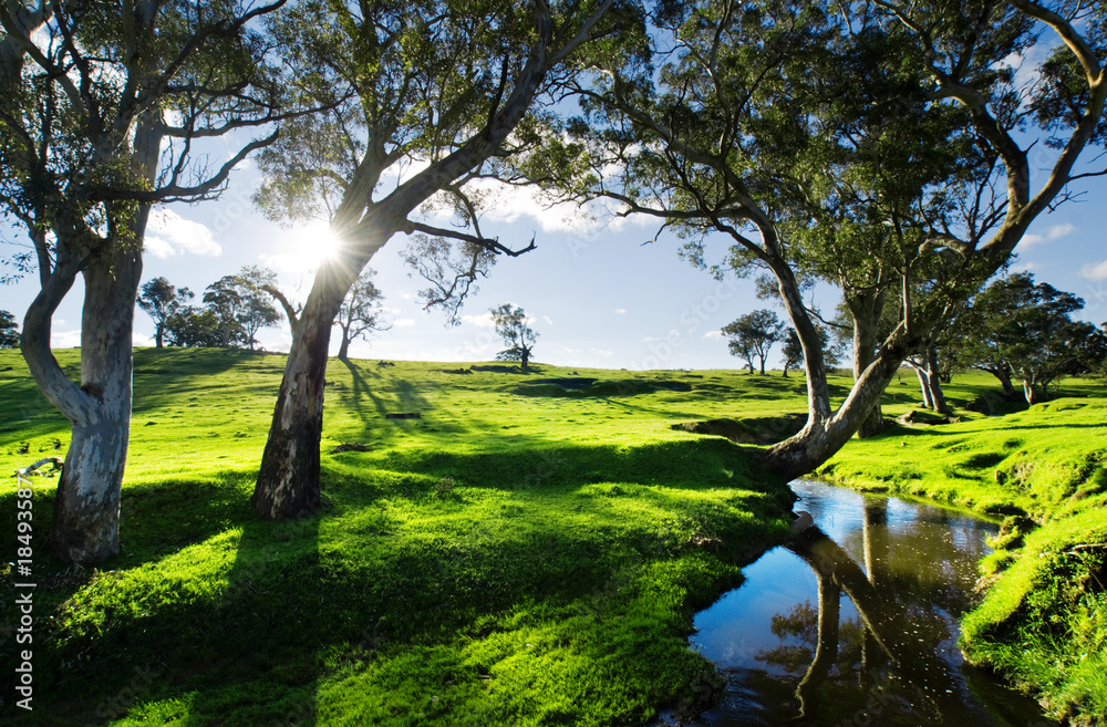 Country Stream Country Stream