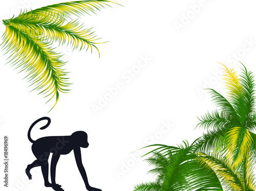 Scimmia con palme
