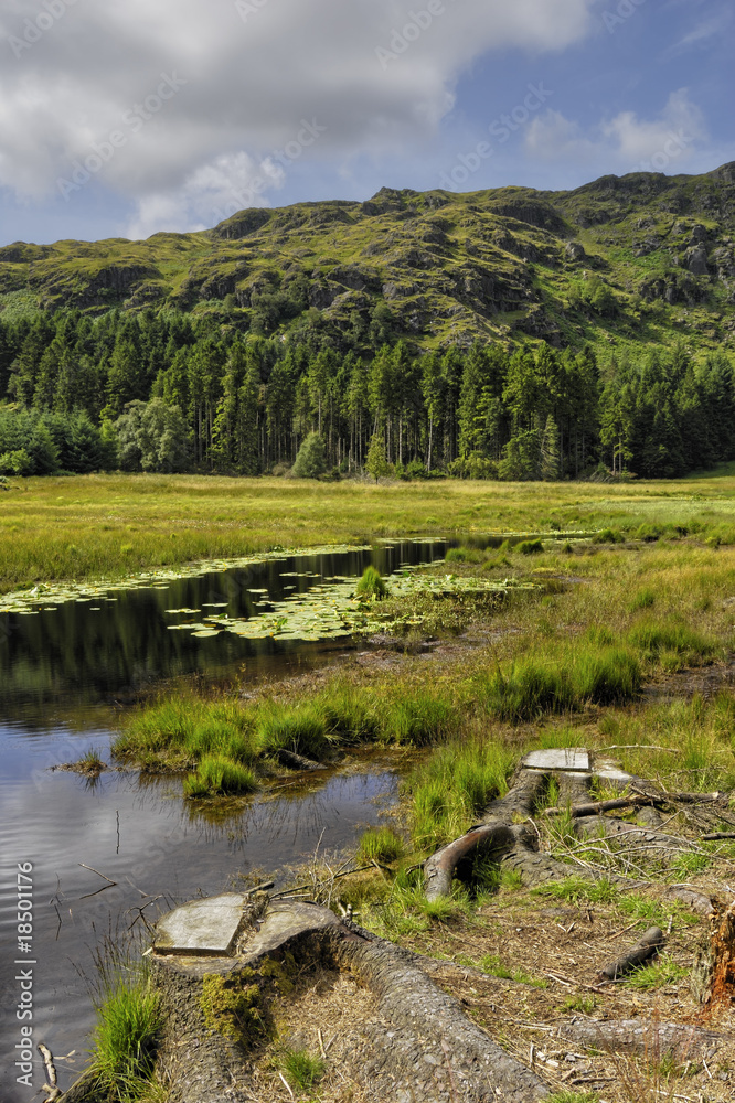 Obraz premium Harrop Tarn