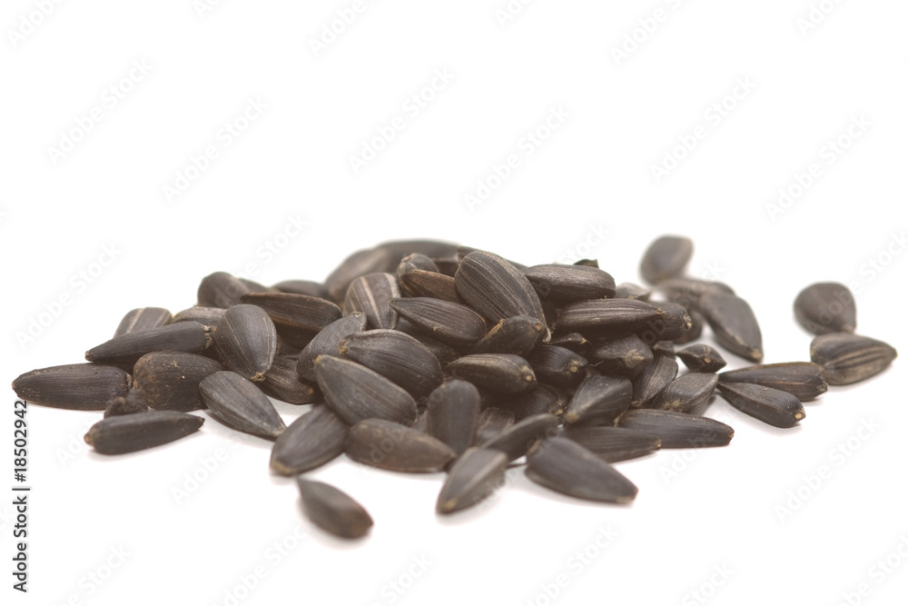 Sunflower seed on a white isolated background Sunflower seed on a white isolated background