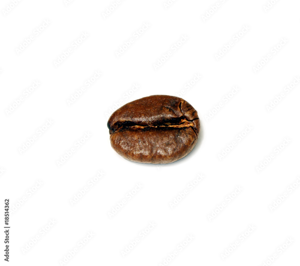 Single coffee bean isolated on white Single coffee bean isolated on white