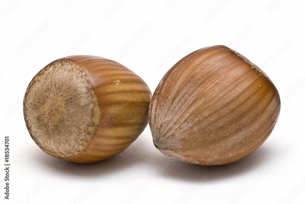 Avellanas maduras. Avellanas maduras.