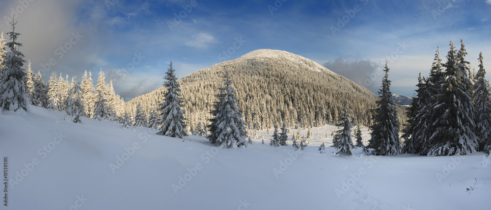 Obraz premium winter in mountains