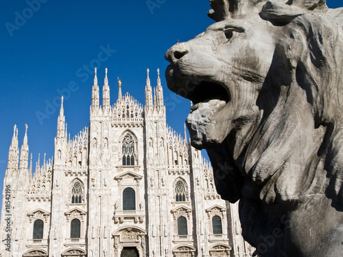 a lion on Milan