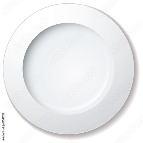dinner plate large rim