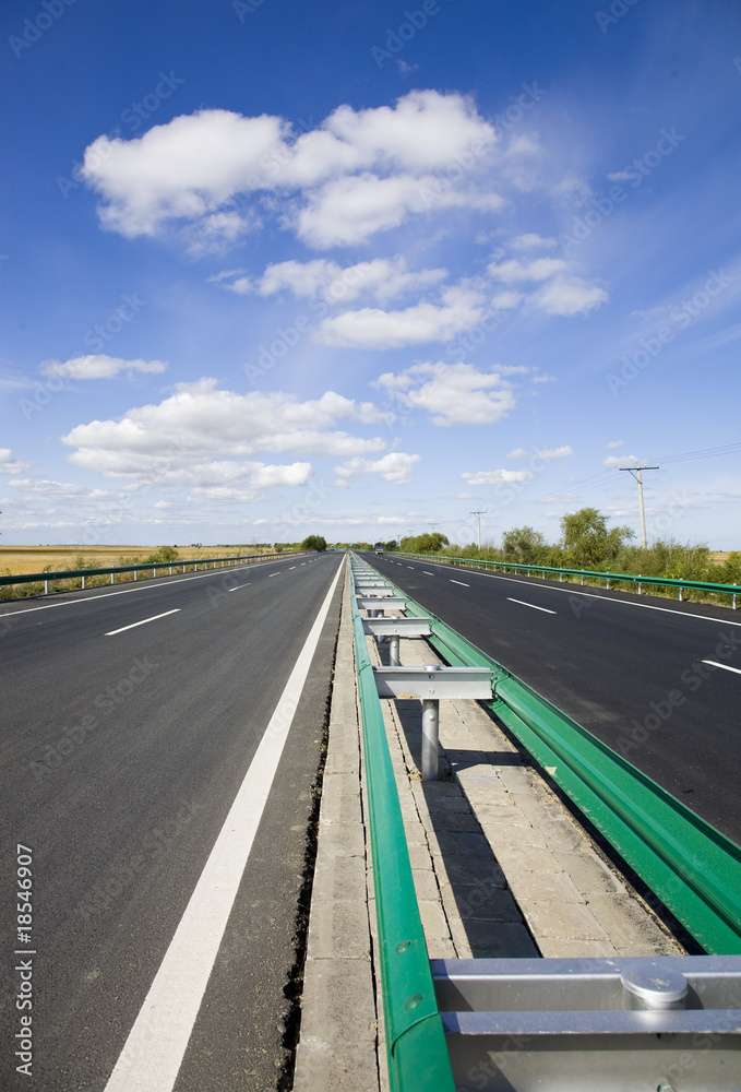 Fototapeta premium Central Partition Belt of the Highway