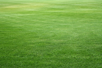 grassplot
