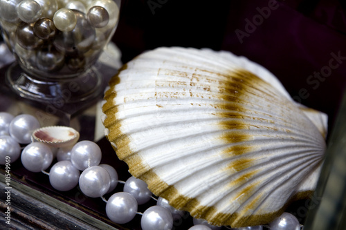 shell and pearl
