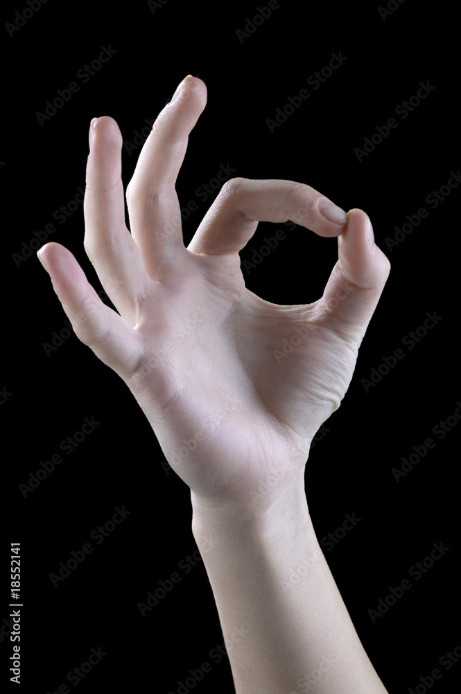 Fototapeta premium gestures, well, ok