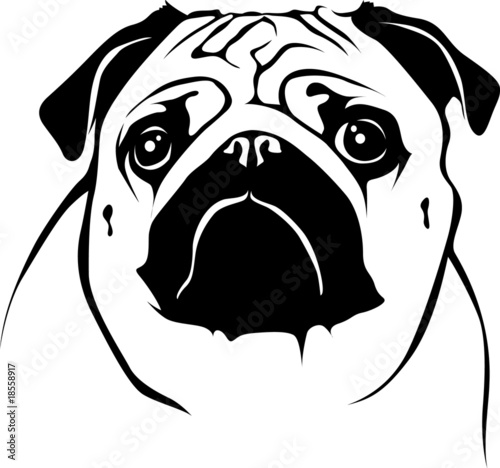 Portrait Pug 03