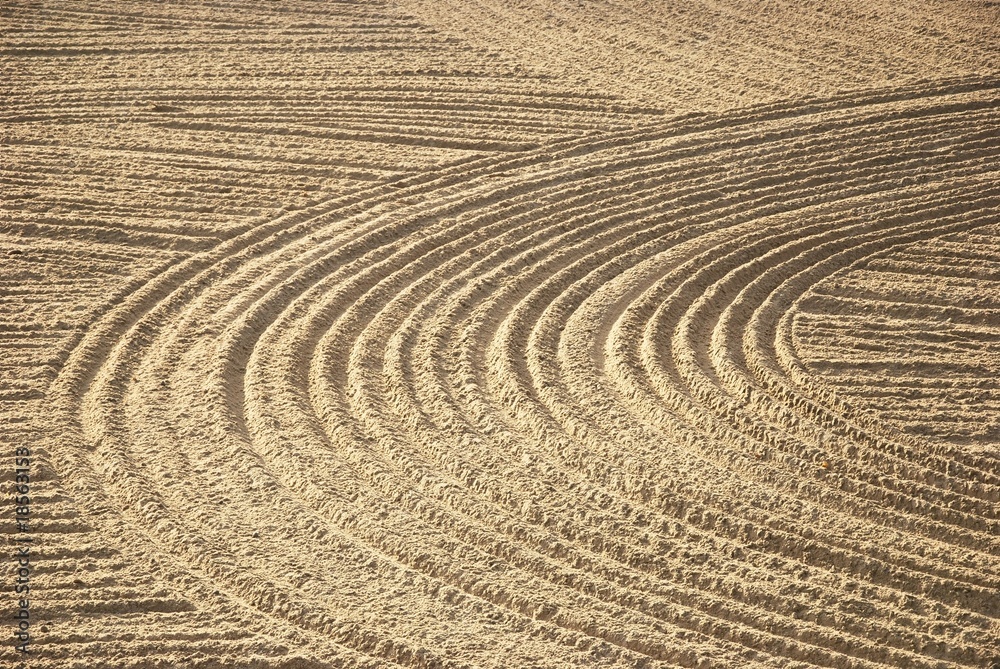 Spuren im Sand Spuren im Sand