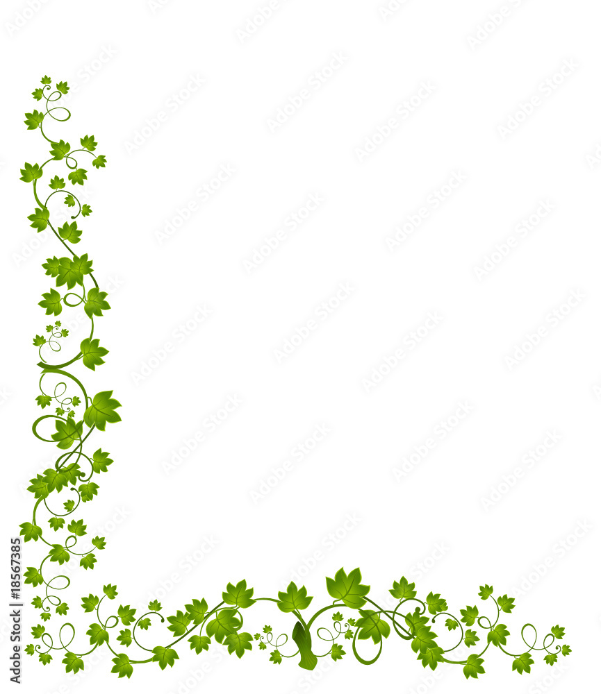 Beautiful decorative framework from leaves for design