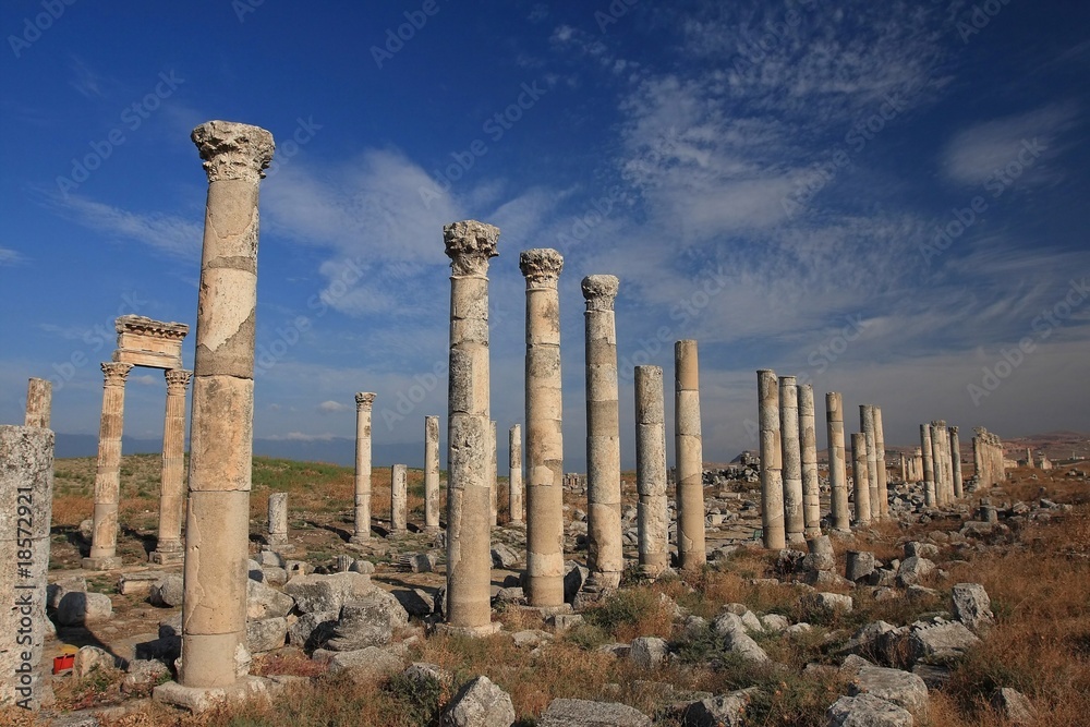 Fototapeta premium syria. apamea
