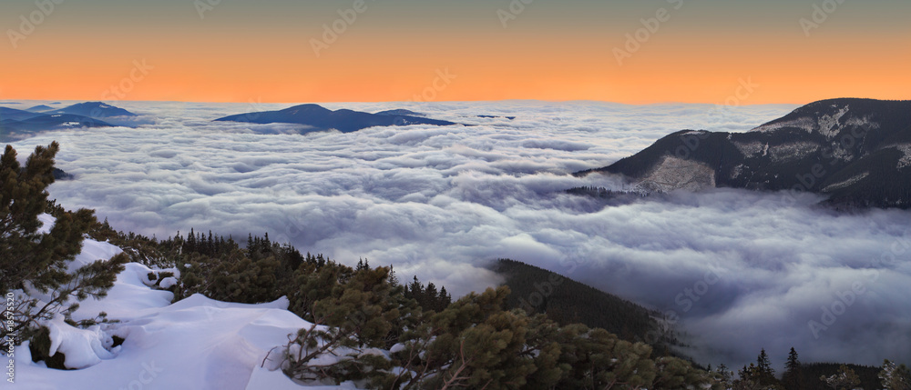 Obraz premium Scotch mist