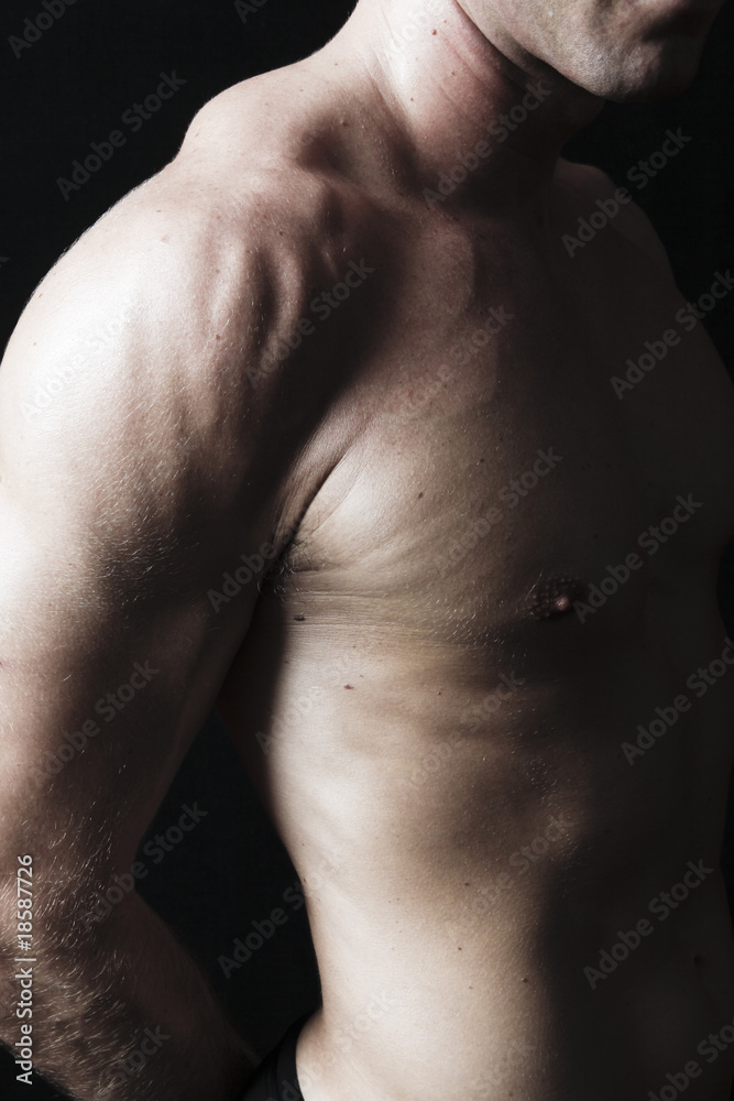 Muscular male torso on black background