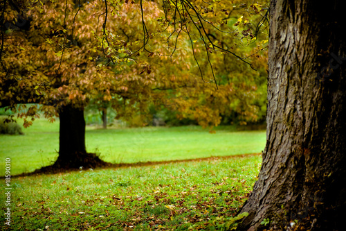 park in the fall