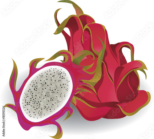dragon fruit