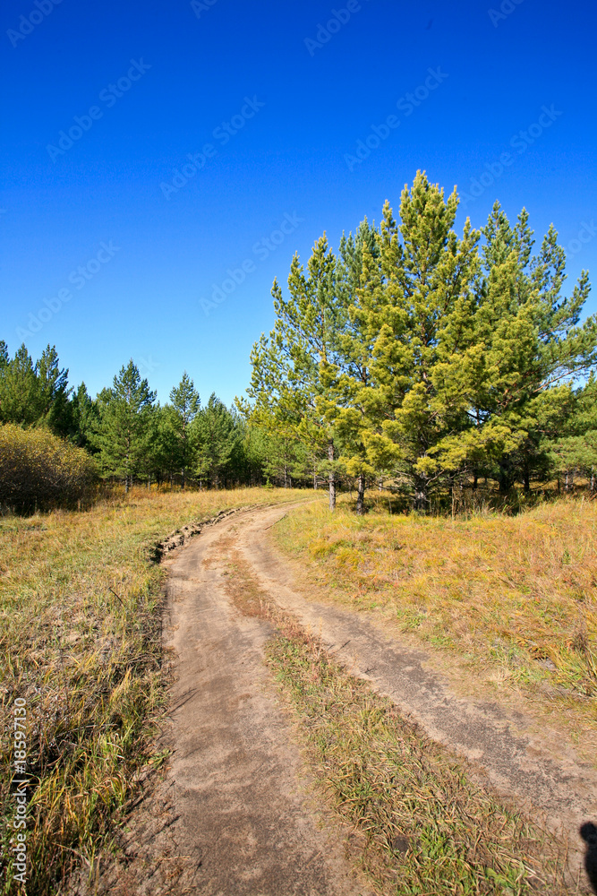 Fall landscape in rural roads