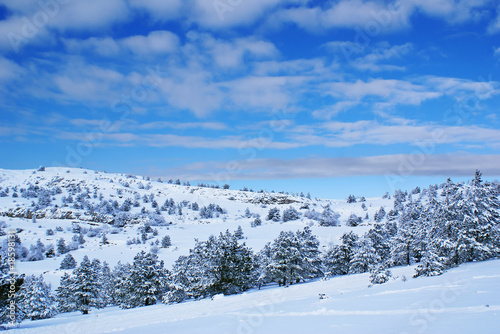 Winter landscape N © alexkar08