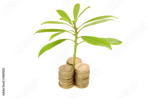 Money and growth