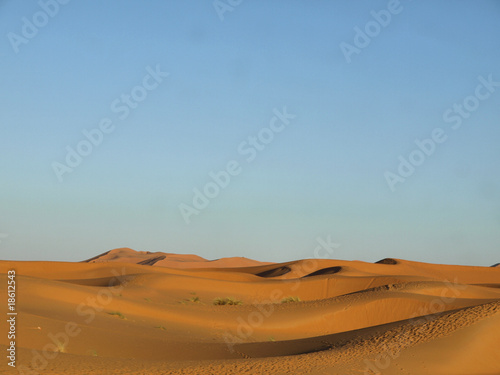 Sand W  ste - Desert Sand