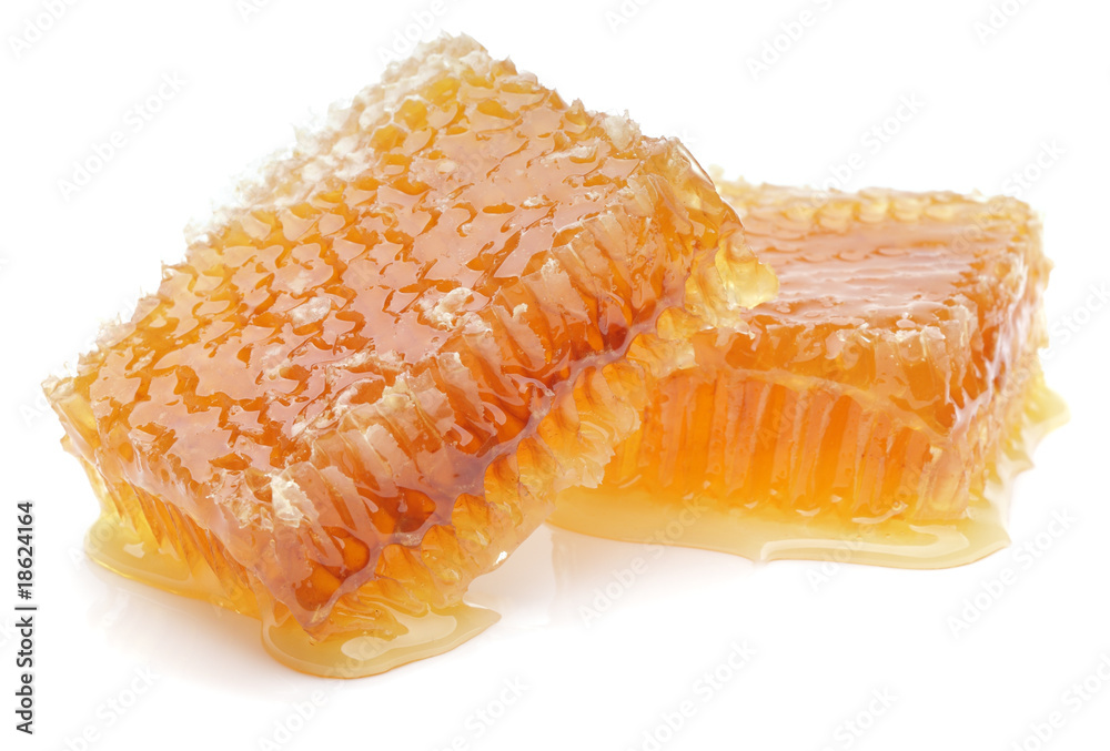 honeycomb isolated on white honeycomb isolated on white