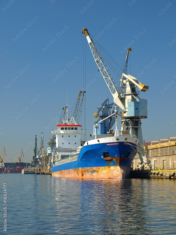 Fototapeta premium Cargo Ship