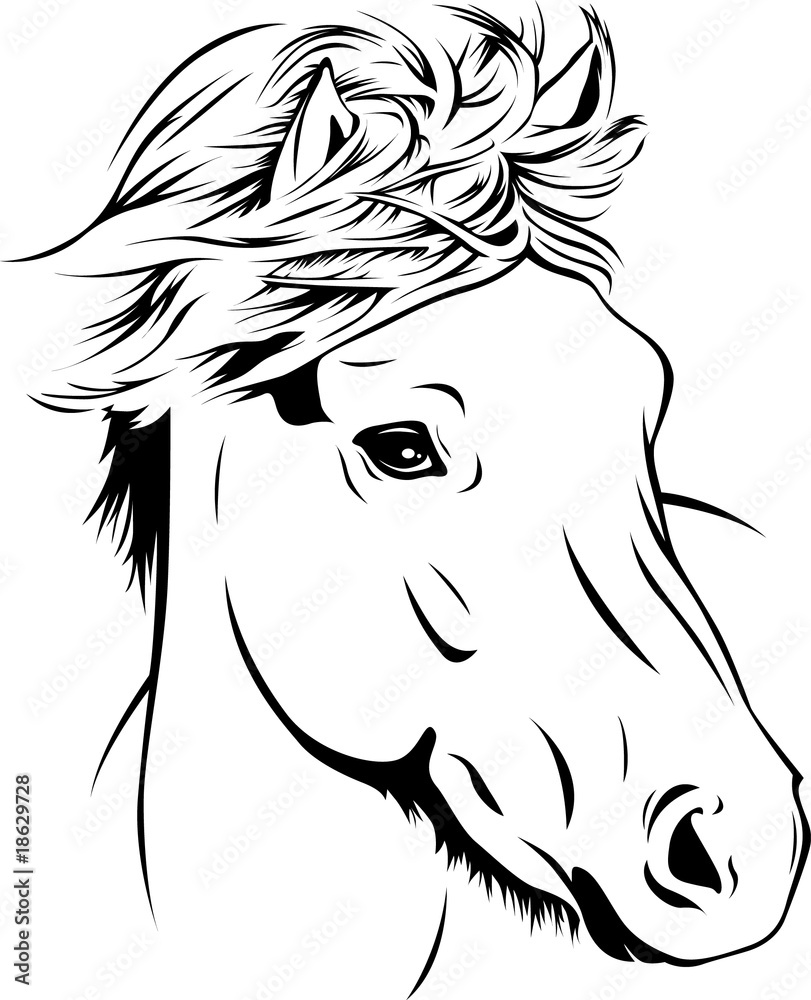 Icelandic Horse - Portrait Stock Vector | Adobe Stock