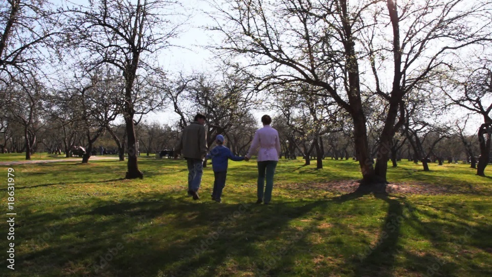 Family with boy keeping for hands goes forward on park in spring Family with boy keeping for hands goes forward on park in spring