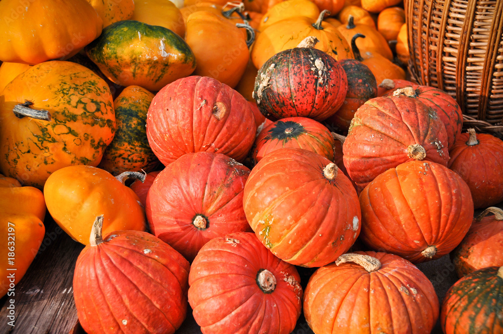 Red pumpkin Red pumpkin