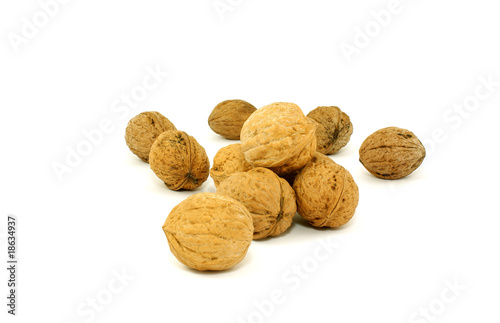 walnut