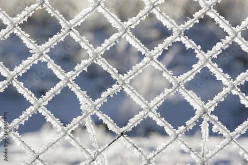 Snow-covered lattice
