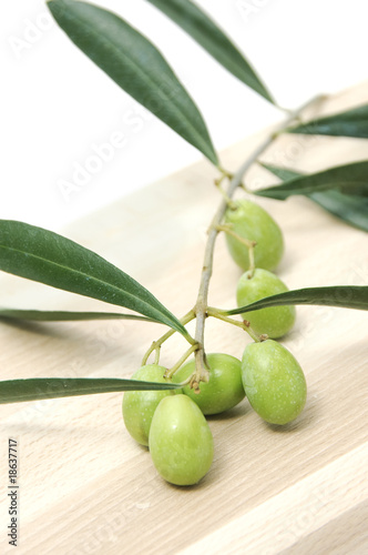 aceitunas photo