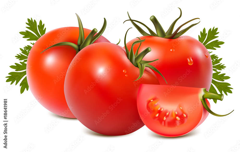 Photorealistic vector illustration. Tomato with water drops.