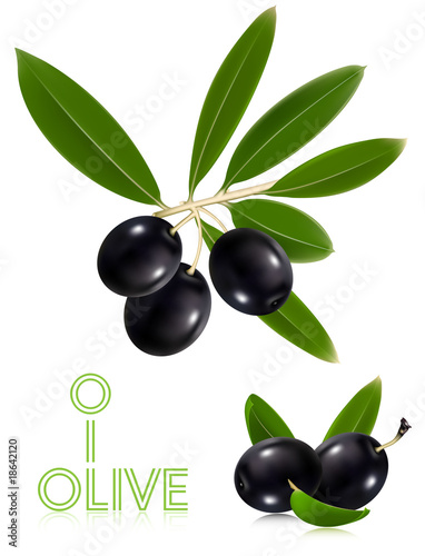 Photorealistic vector illustration. Black olives with leaves.