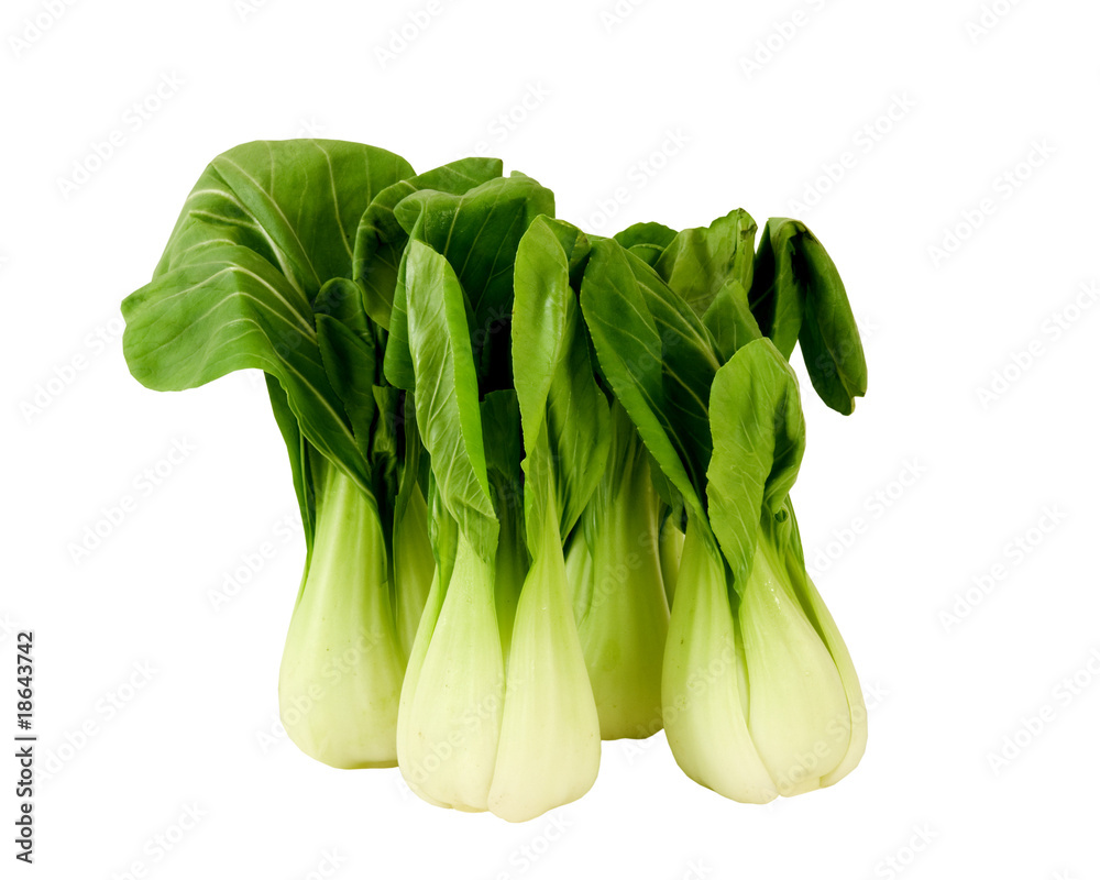 bunch of fresh bok choy bunch of fresh bok choy
