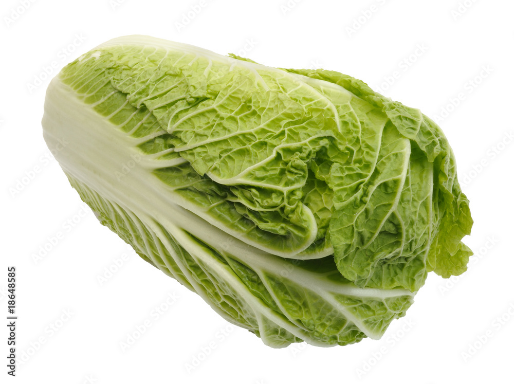 Beijing cabbage, isolated Beijing cabbage, isolated
