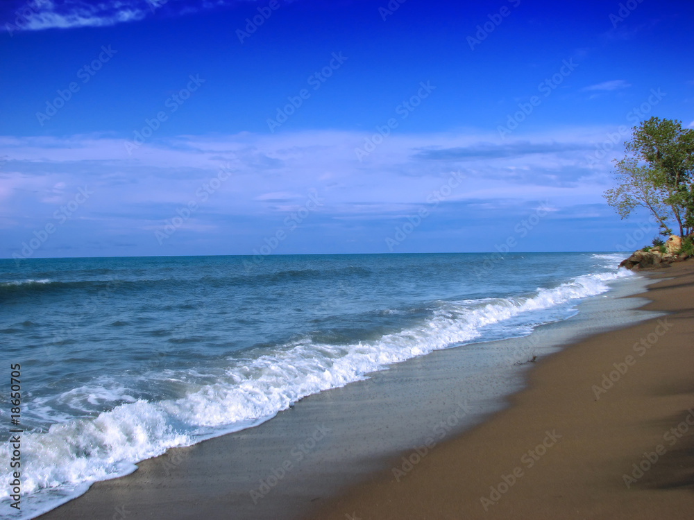 Sandy calm sea shore with waves and a trees