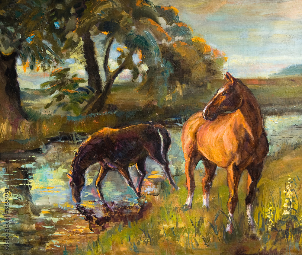 Obraz premium horse to water, picturesque Paintings